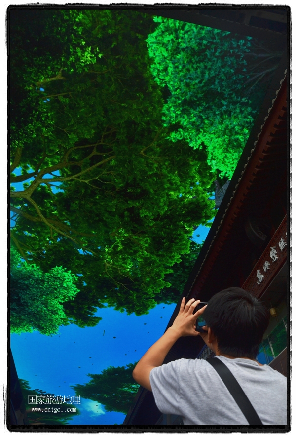 9月8日，在西安市大雁塔景區(qū)，“天幕”景觀吸引游客駐足觀看，并拿出手機(jī)拍攝。